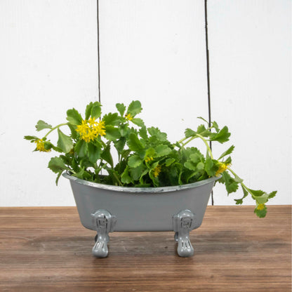 Mini Gray Bathtub Soap Dish
