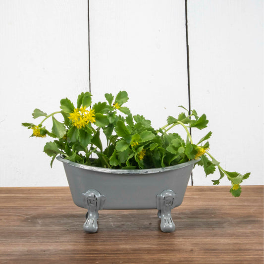 Mini Gray Bathtub Soap Dish